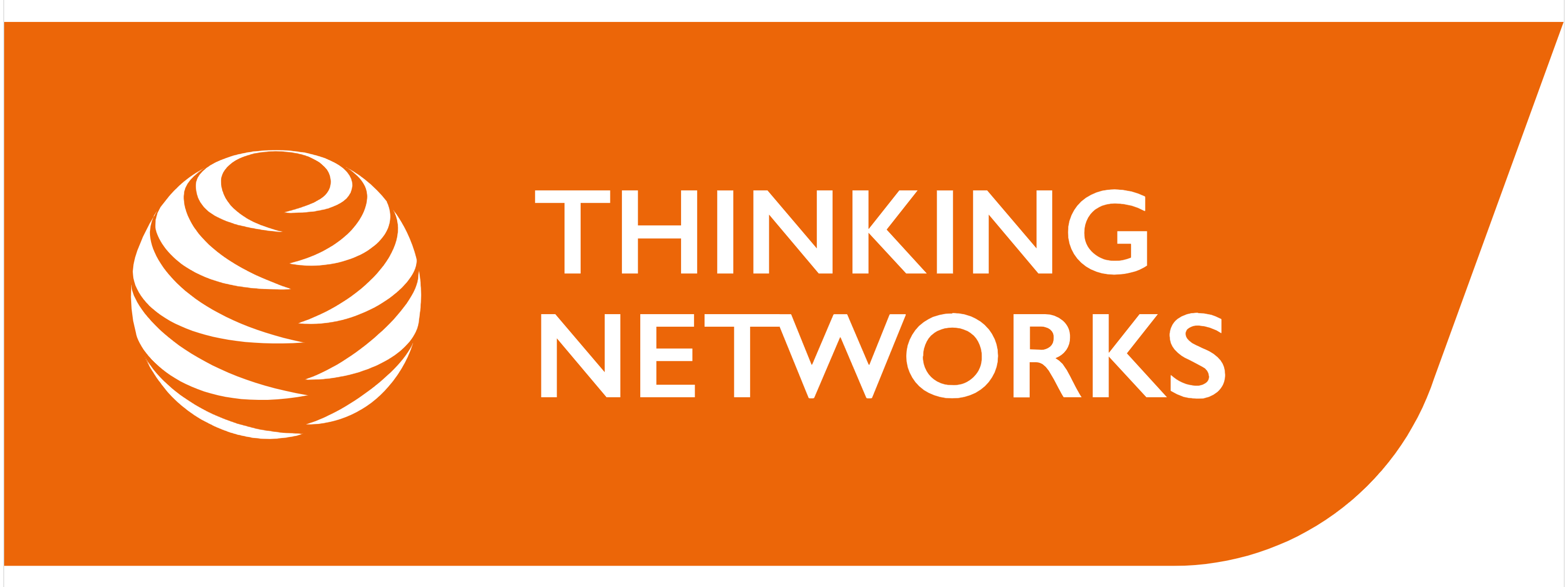 Thinking Networks